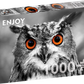 1000 Pieces Jigsaw Puzzle - Curious Owl (1626)