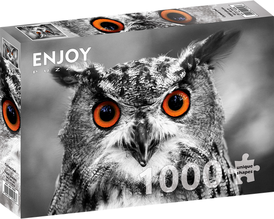 1000 Pieces Jigsaw Puzzle - Curious Owl (1626)