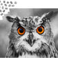 1000 Pieces Jigsaw Puzzle - Curious Owl (1626)