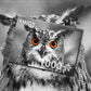 1000 Pieces Jigsaw Puzzle - Curious Owl (1626)