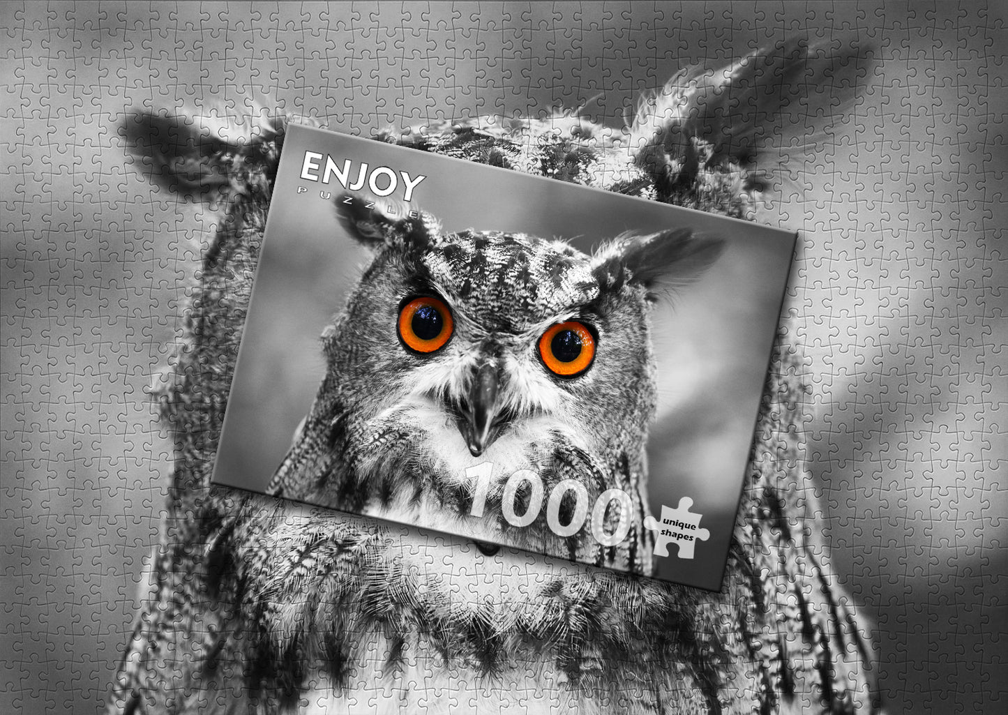 1000 Pieces Jigsaw Puzzle - Curious Owl (1626)