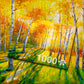 1000 Pieces Jigsaw Puzzle - Birch Grove (1690)