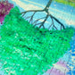 1000 Pieces Jigsaw Puzzle - Each Tree Has Its Own Colorful History (1702)