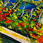1000 Pieces Jigsaw Puzzle - Blooming Balcony (1772)
