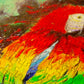 1000 Pieces Jigsaw Puzzle - Colorful Parrot (1787)