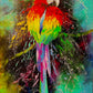 1000 Pieces Jigsaw Puzzle - Colorful Parrot (1787)