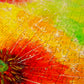 1000 Pieces Jigsaw Puzzle - Dandelions (1790)