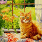 dd729a3246bc3d3aa23addadd68bb005