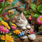 b470a8bff6e228a27c8d447dea76a4c3