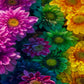 d8935721f7c5c885ccd529ea6aa5a5de