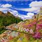 41c67c279d4c411808fd94ddde3bcc3e