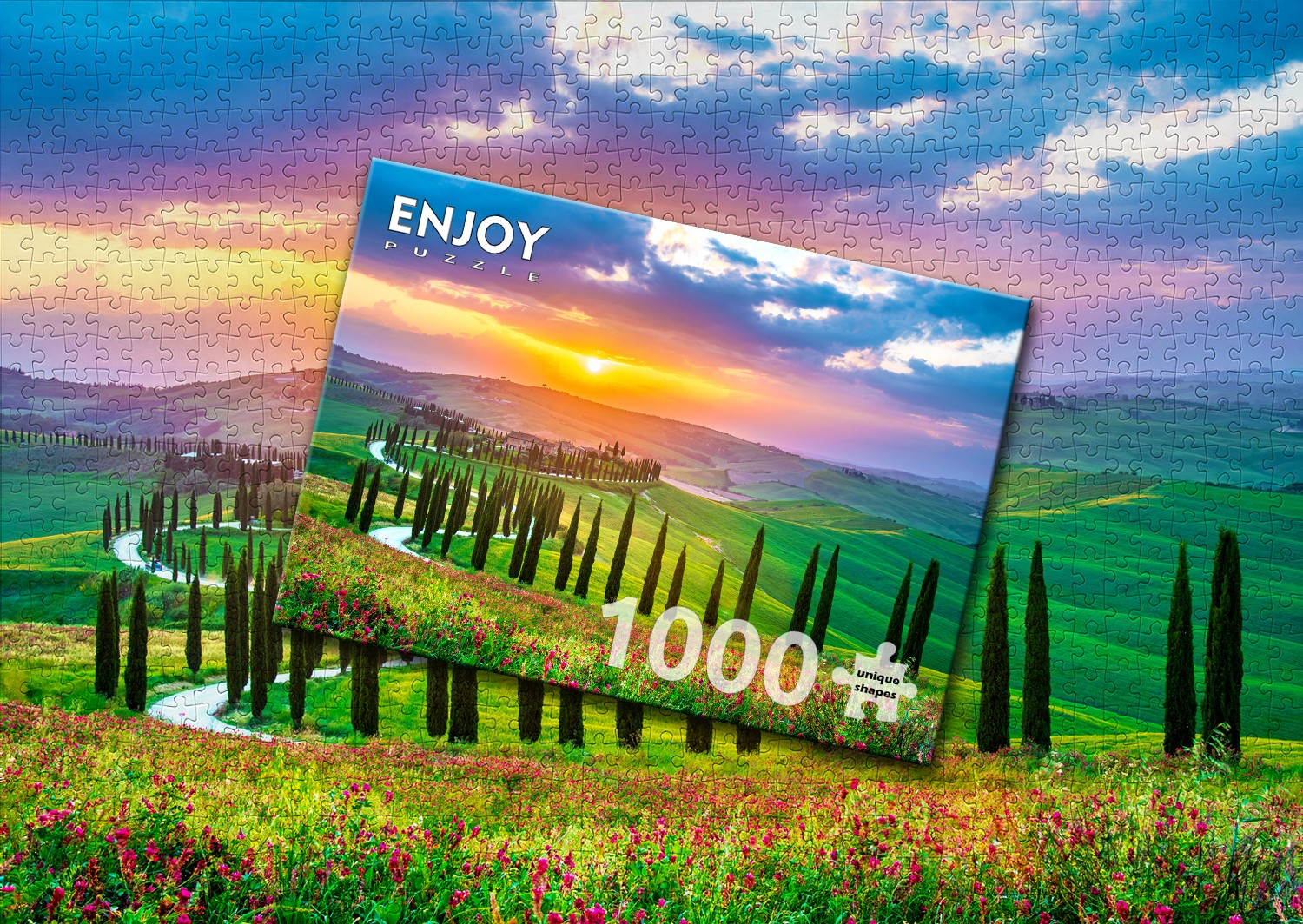d2b459b483059a0a2ca1aec934d3f1cc