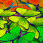 1000 Pieces Jigsaw Puzzle - Rainbow Butterflies (1961)