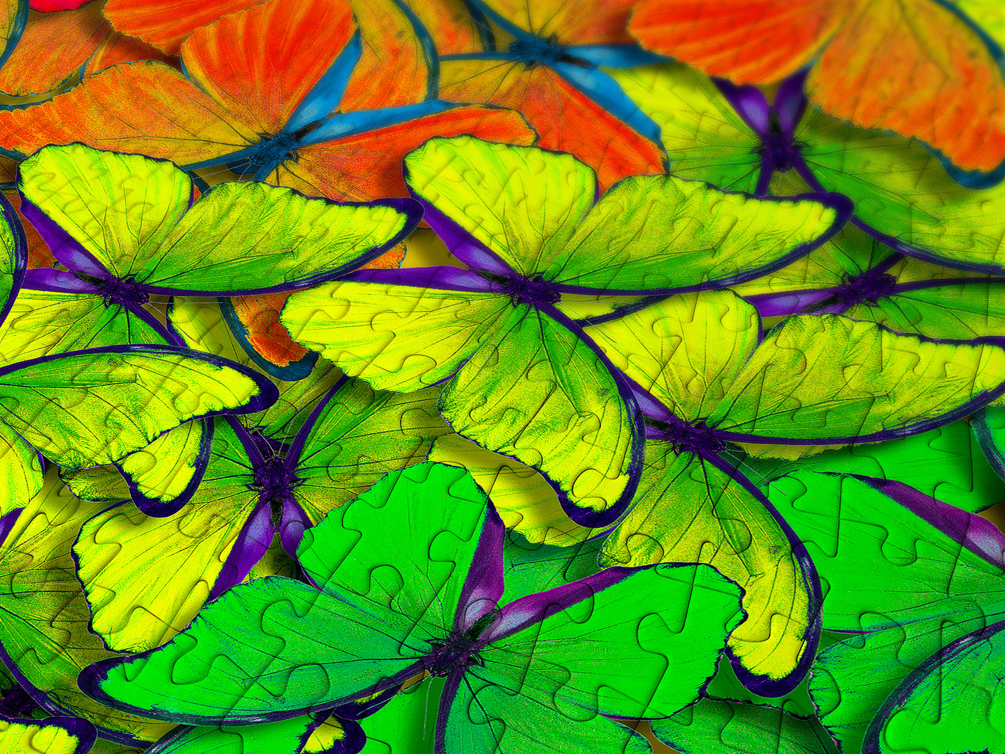 1000 Pieces Jigsaw Puzzle - Rainbow Butterflies (1961)