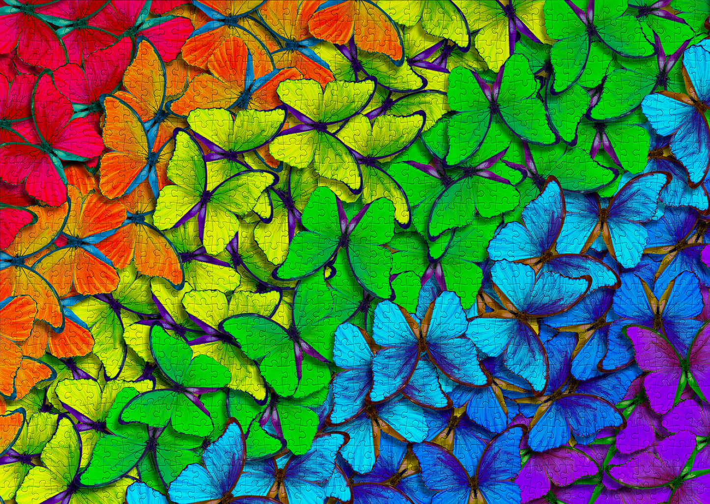 1000 Pieces Jigsaw Puzzle - Rainbow Butterflies (1961)