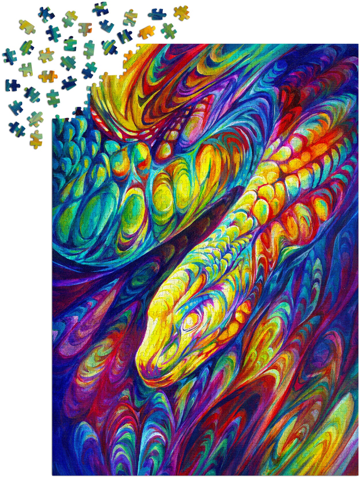 1000 Pieces Jigsaw Puzzle - Rainbow Snake (2015)