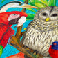 1000 Pieces Jigsaw Puzzle - Feathered Frenzy (2032)