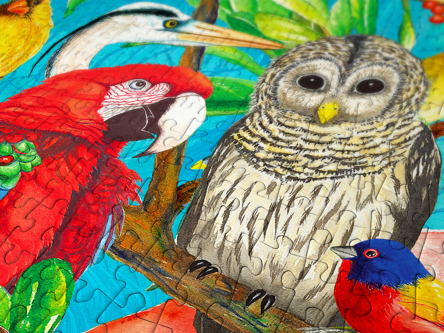 1000 Pieces Jigsaw Puzzle - Feathered Frenzy (2032)