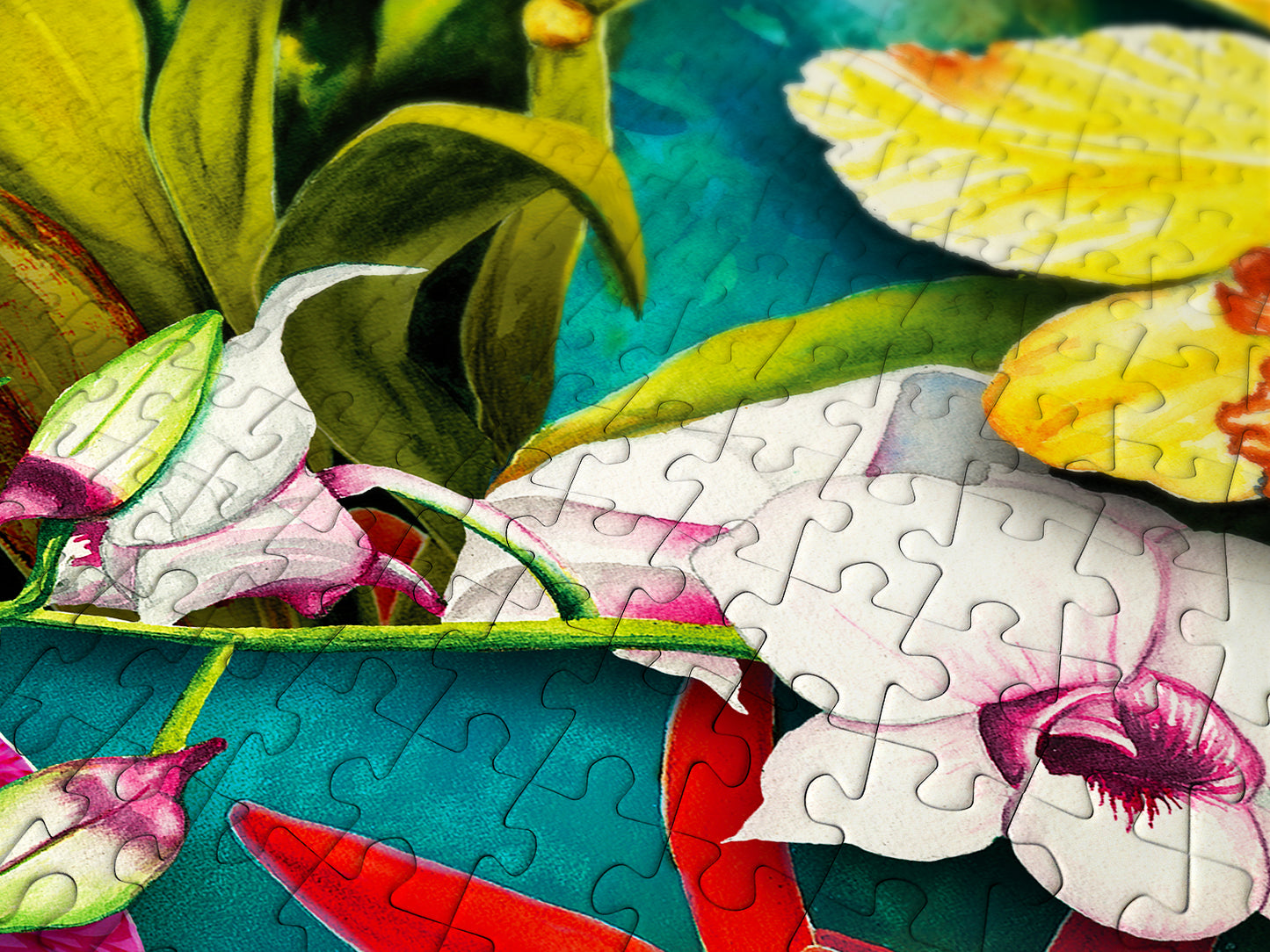 1000 Pieces Jigsaw Puzzle - Orchid Jungle (2033)