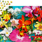 1000 Pieces Jigsaw Puzzle - Orchid Jungle (2033)