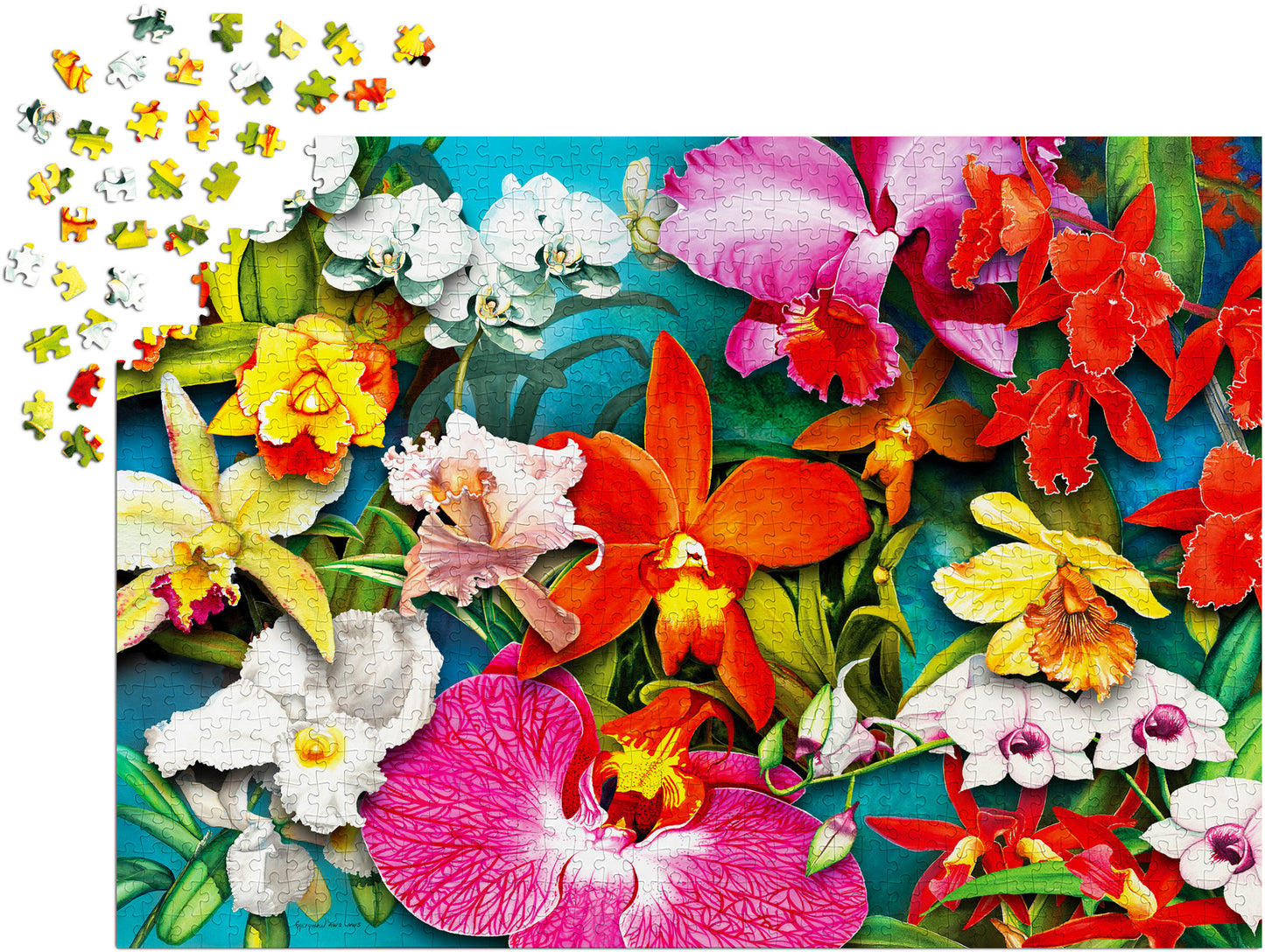 1000 Pieces Jigsaw Puzzle - Orchid Jungle (2033)