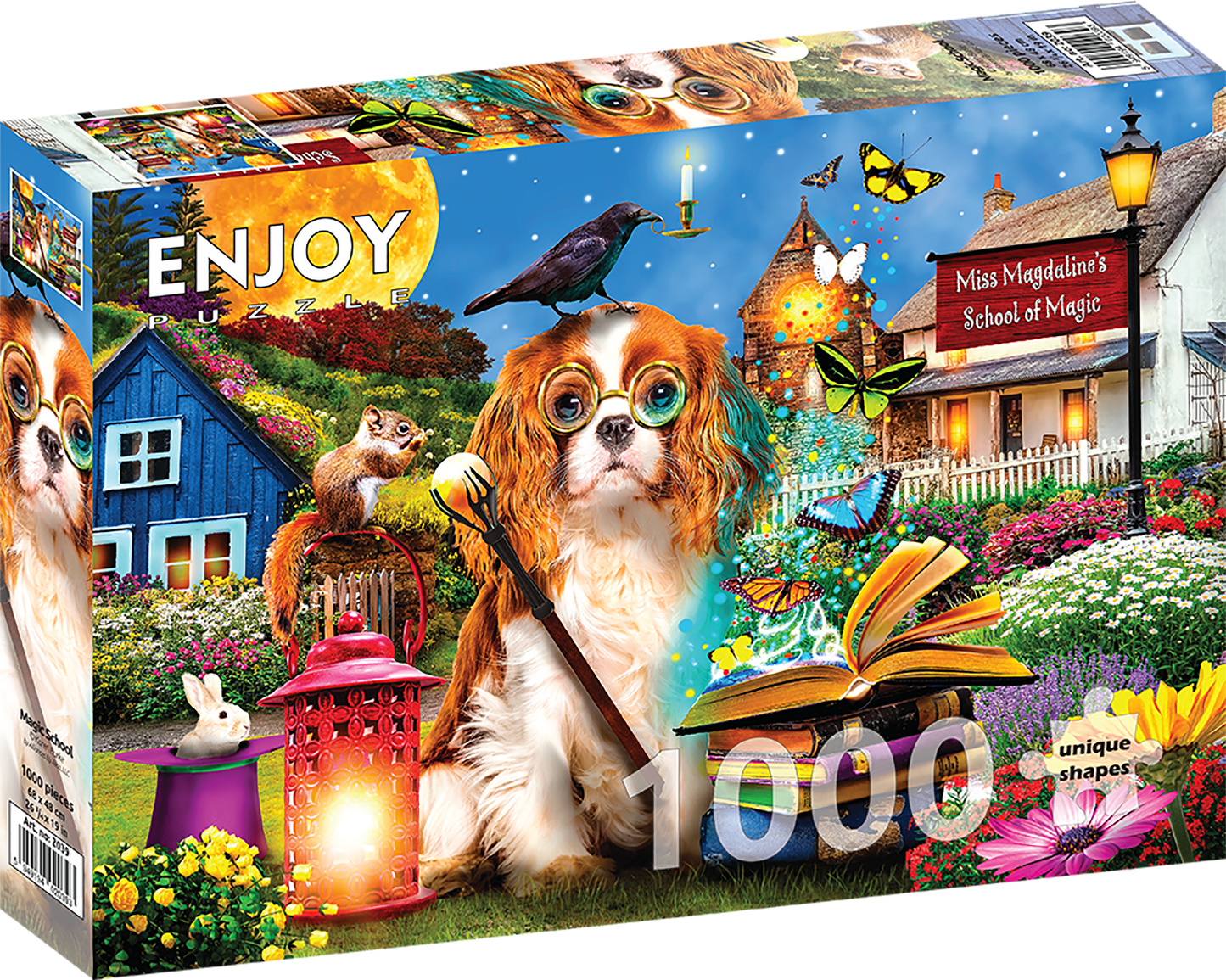 1000 Pieces Jigsaw Puzzle - Magic School (2039)