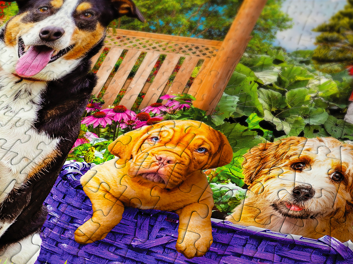 1000 Pieces Jigsaw Puzzle - Puppy Patch (2040)