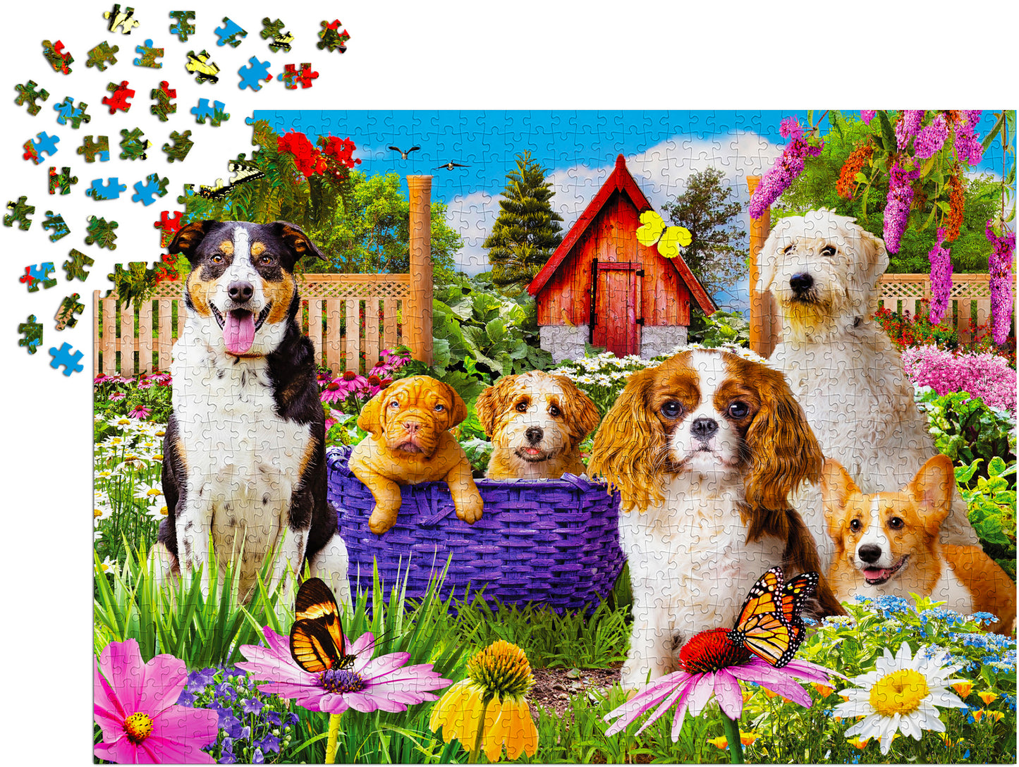 1000 Pieces Jigsaw Puzzle - Puppy Patch (2040)
