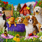 1000 Pieces Jigsaw Puzzle - Puppy Patch (2040)
