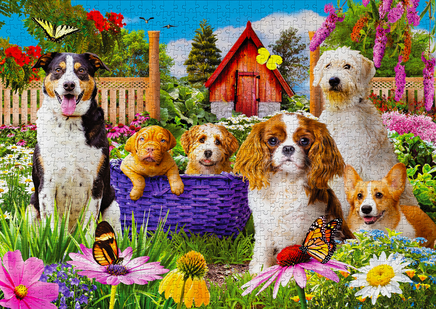 1000 Pieces Jigsaw Puzzle - Puppy Patch (2040)