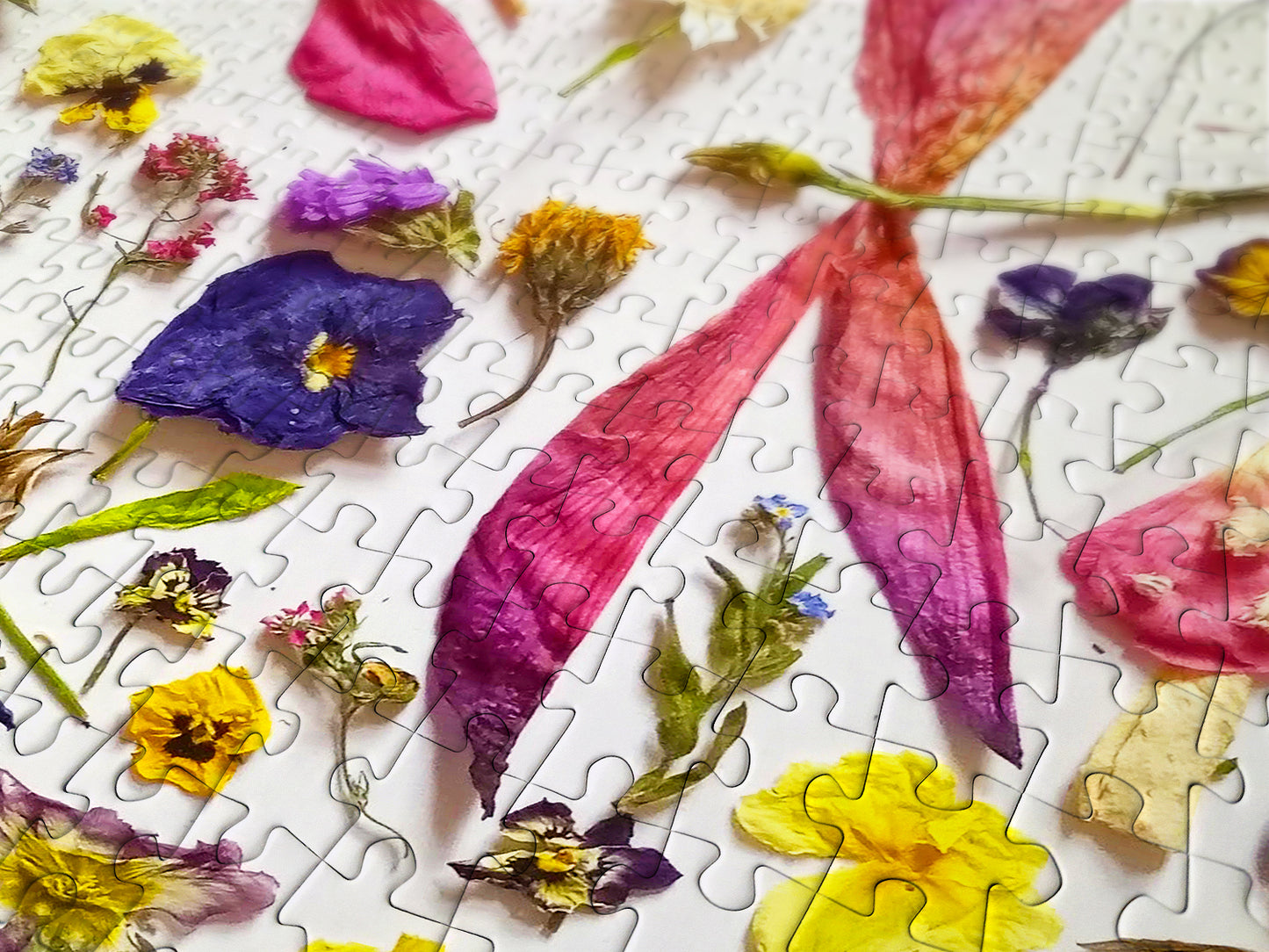 1000 Pieces Jigsaw Puzzle - Fairies and Dragonflies (2041)