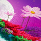 1000 Pieces Jigsaw Puzzle - Magic In The Moonlight (2062)