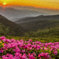 1000 Pieces Jigsaw Puzzle - Pink Dusk (2063)