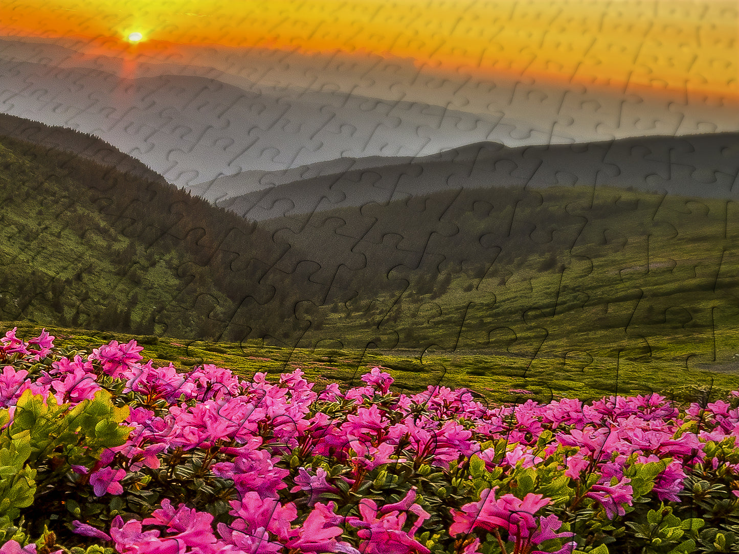 1000 Pieces Jigsaw Puzzle - Pink Dusk (2063)