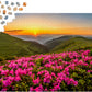 1000 Pieces Jigsaw Puzzle - Pink Dusk (2063)