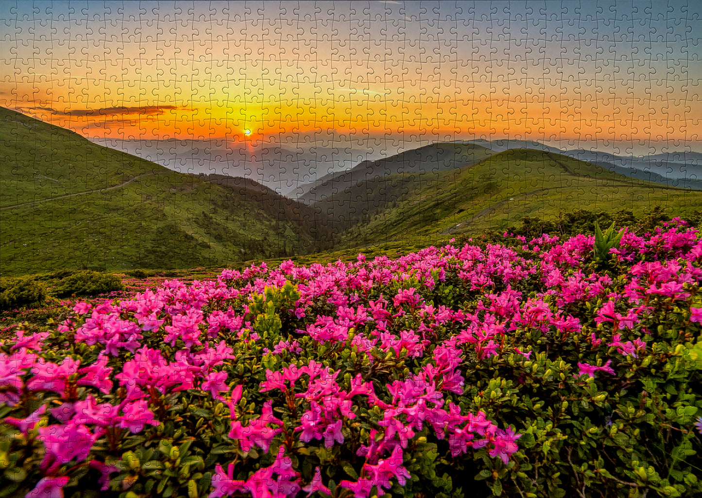 1000 Pieces Jigsaw Puzzle - Pink Dusk (2063)