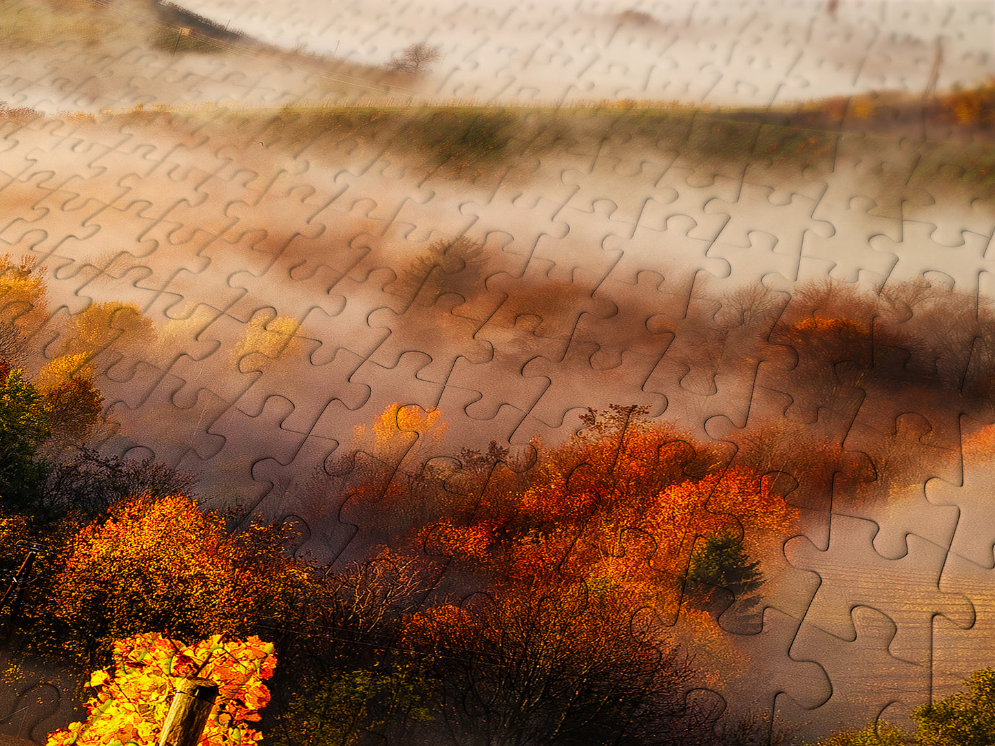 1000 Pieces Jigsaw Puzzle - In the Vineyards (2064)