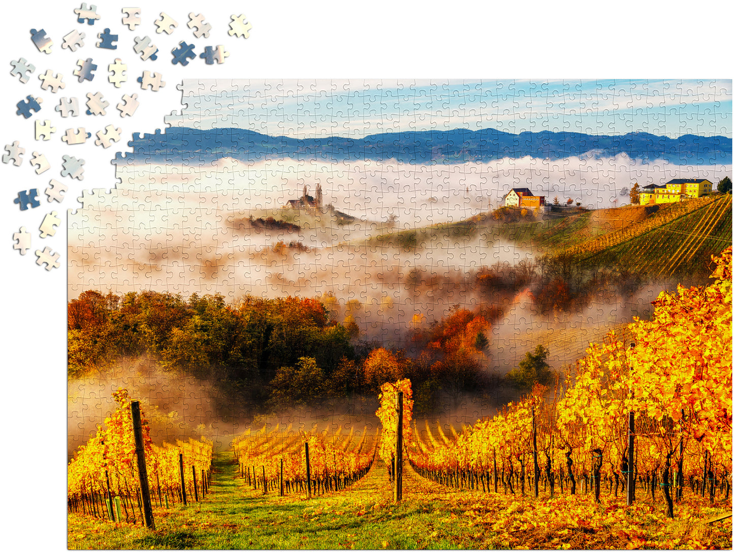 1000 Pieces Jigsaw Puzzle - In the Vineyards (2064)
