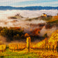 1000 Pieces Jigsaw Puzzle - In the Vineyards (2064)