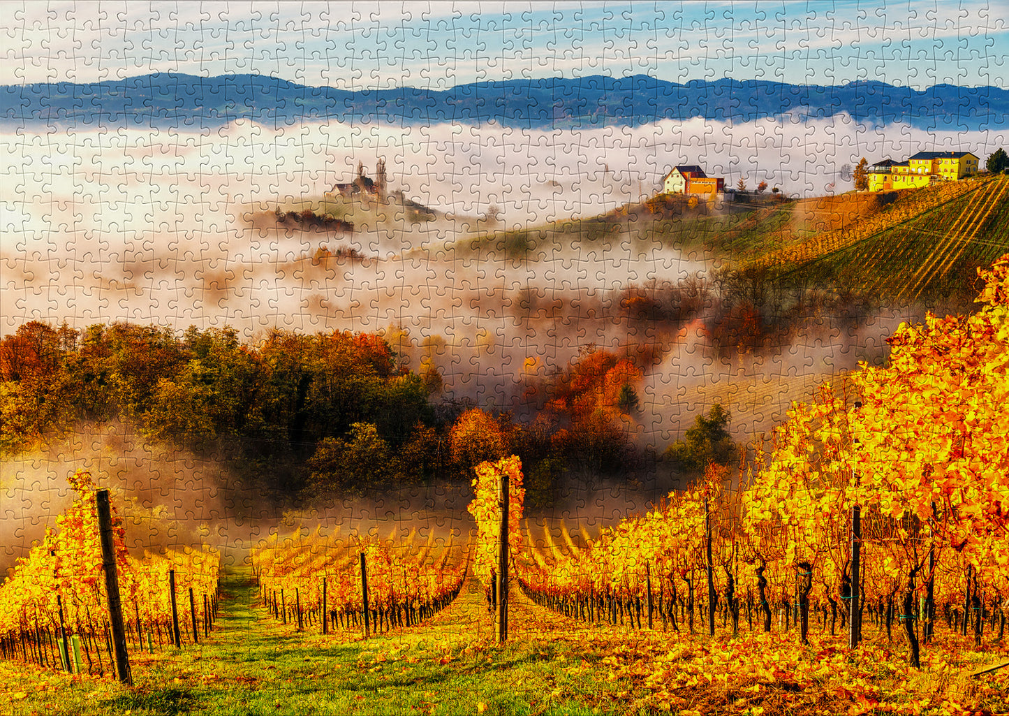1000 Pieces Jigsaw Puzzle - In the Vineyards (2064)