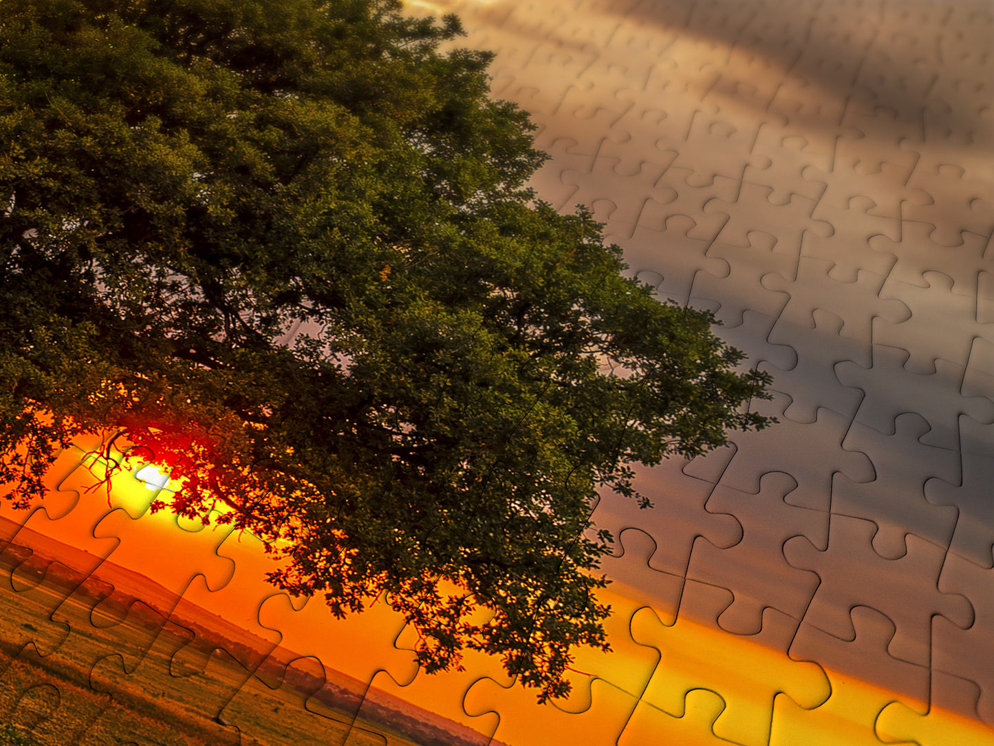 1000 Pieces Jigsaw Puzzle - Leaves Eclipse (2065)