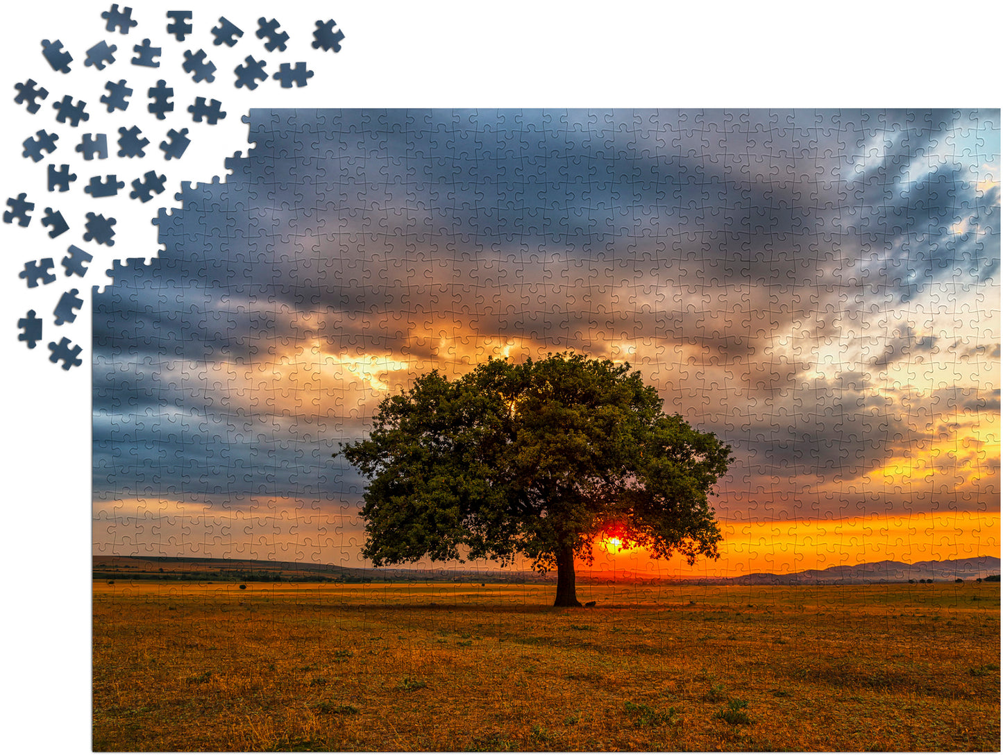 1000 Pieces Jigsaw Puzzle - Leaves Eclipse (2065)