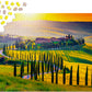 1000 Pieces Jigsaw Puzzle - Tuscany Sunset (2082)