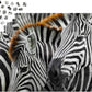 1000 Pieces Jigsaw Puzzle - Zebras (2103)
