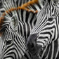 1000 Pieces Jigsaw Puzzle - Zebras (2103)