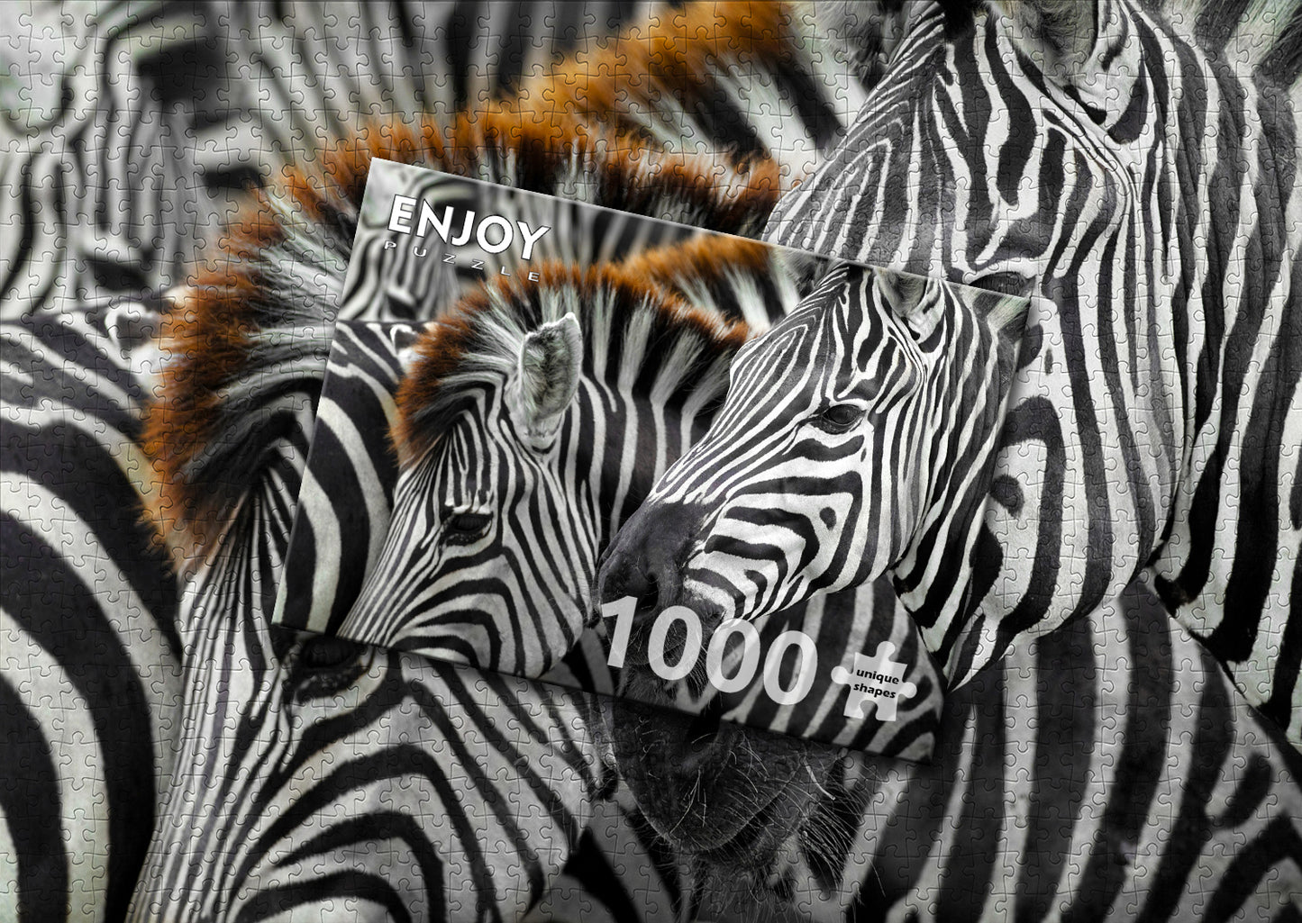1000 Pieces Jigsaw Puzzle - Zebras (2103)