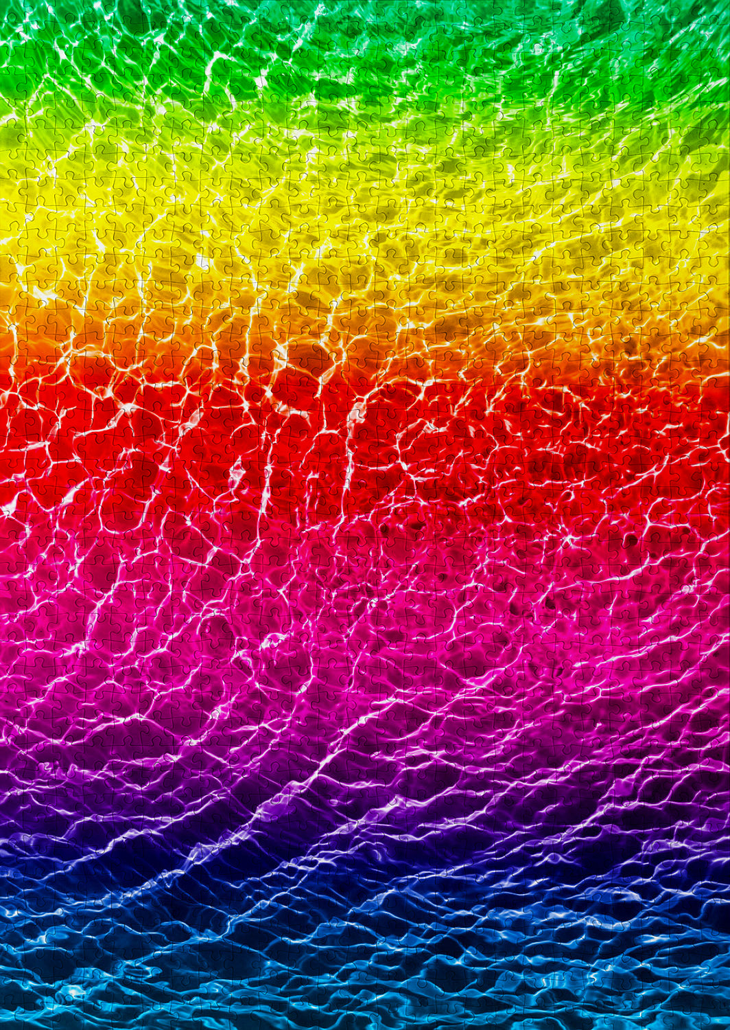 1000 Pieces Jigsaw Puzzle - Submerged Rainbow (2123)