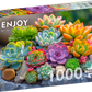 1000 Pieces Jigsaw Puzzle - Succulents (2277)