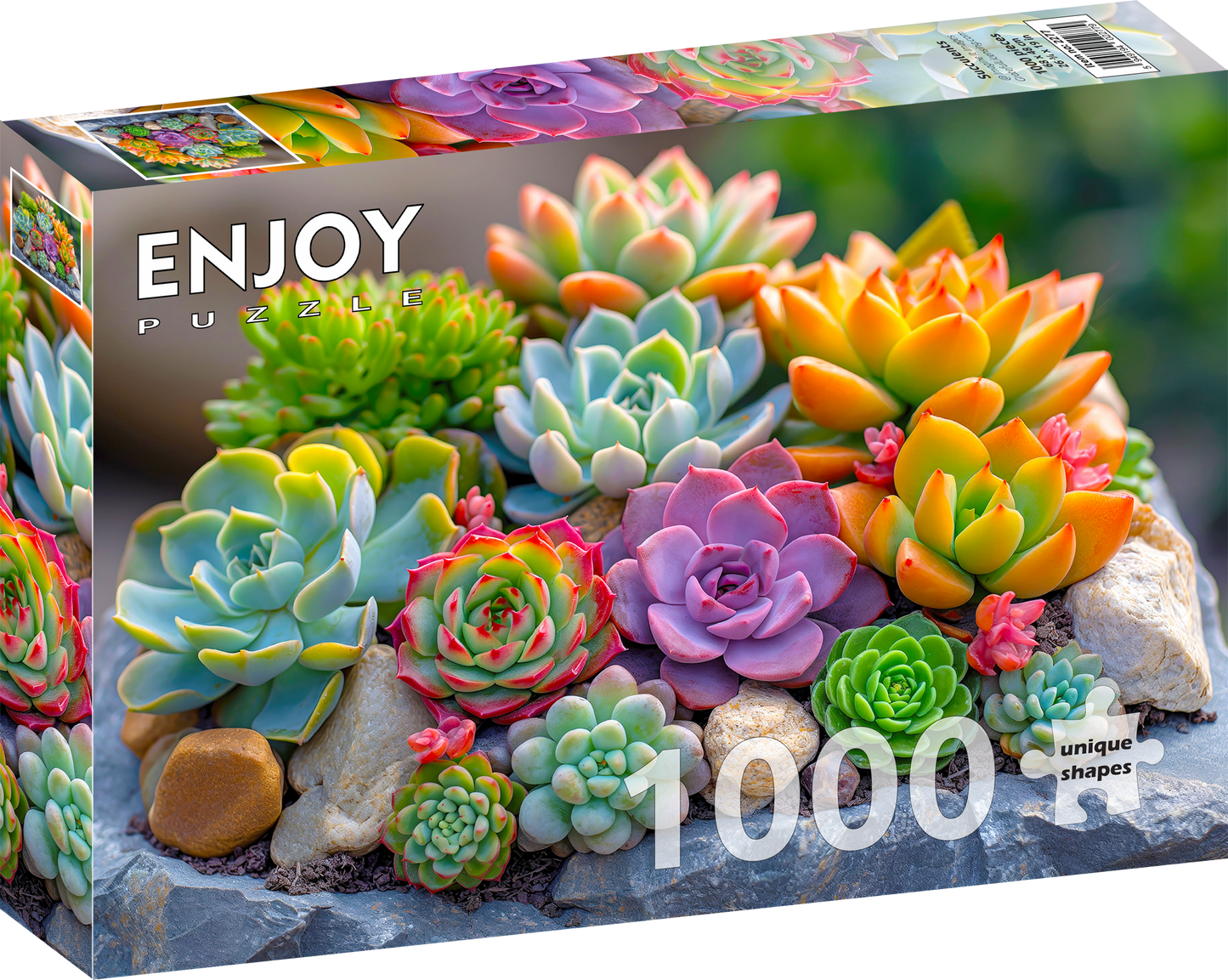 1000 Pieces Jigsaw Puzzle - Succulents (2277)