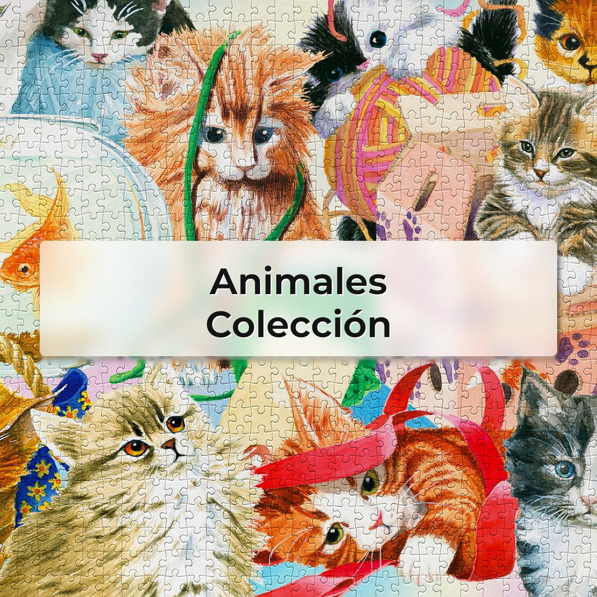 Animales - Colección